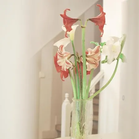 Fonda Mitja Torroella de Montgrí