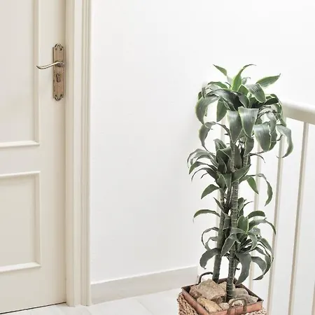 Gasthof Fonda Mitja Torroella de Montgrí